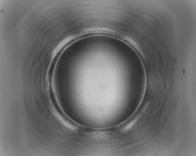 X0000062131082200512091144