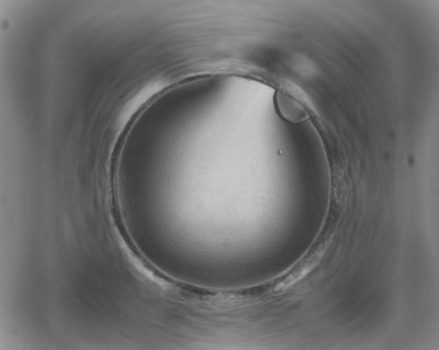 X0000062131087200512091143