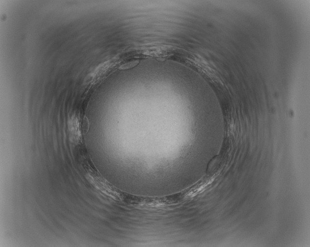 X0000062131106200512091142