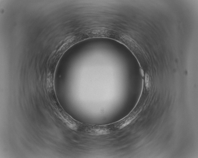 X0000062131107200512091142
