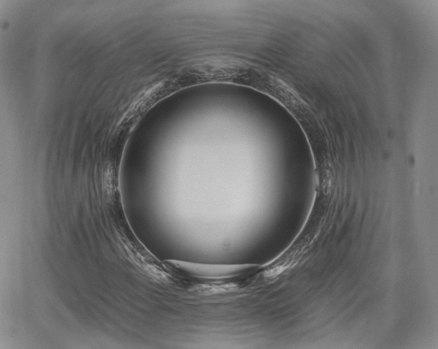X0000062131108200512091142