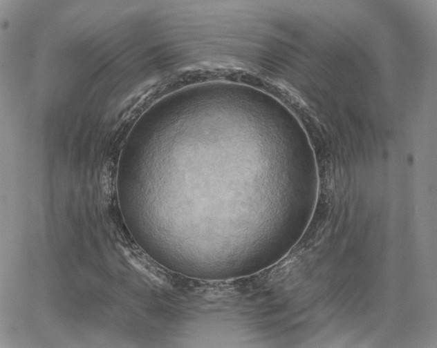 X0000062131110200512091143