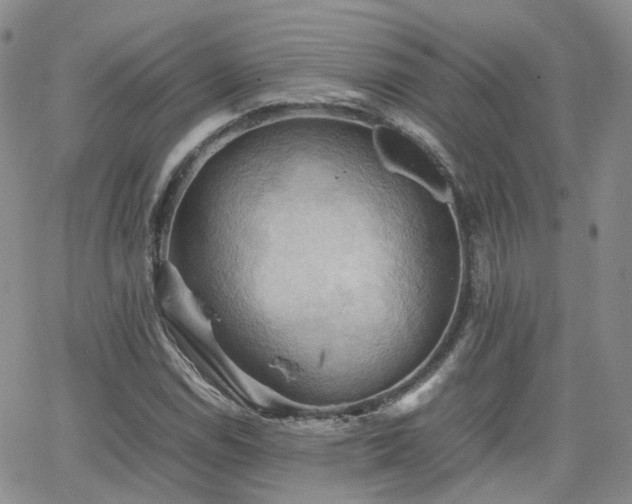 X0000062131114200512091143