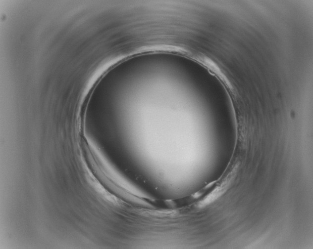 X0000062131140200512091143