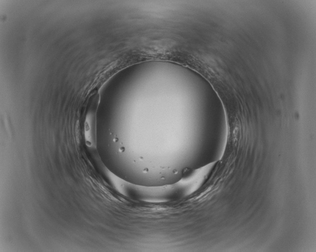 X0000062131156200512091142
