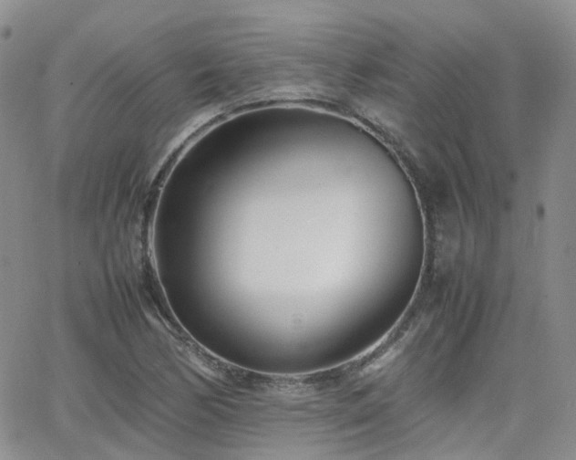 X0000062131170200512091142