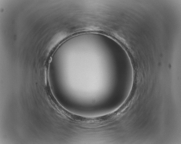 X0000062131171200512091142