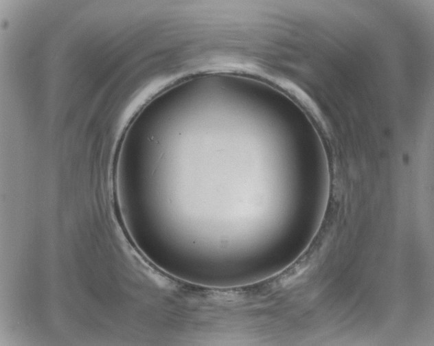 X0000062131191200512091142