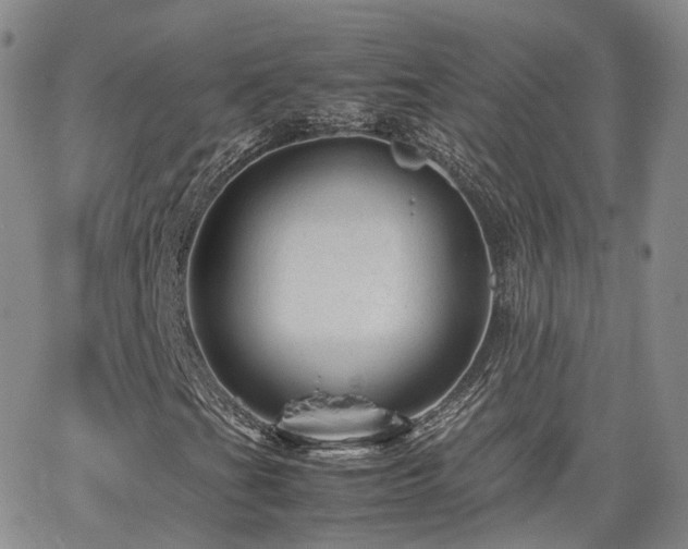 X0000062131201200512091141