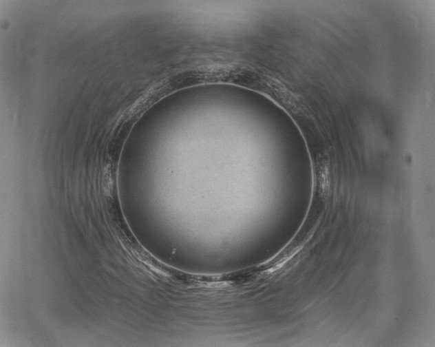 X0000062131204200512091141