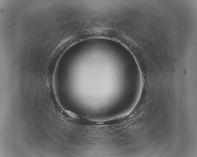 X0000062131206200512091141