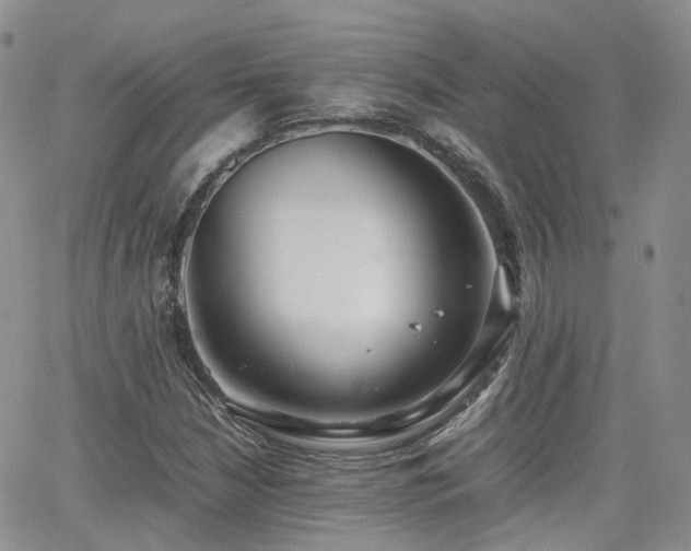 X0000062131210200512091141