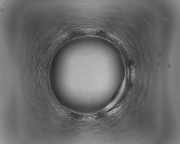 X0000062131249200512091141