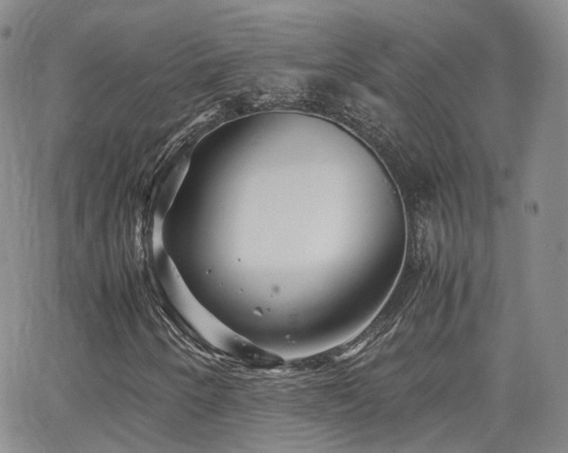 X0000062131250200512091141