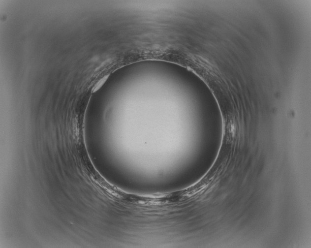 X0000062131252200512091141
