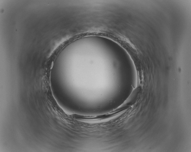 X0000062131256200512091141