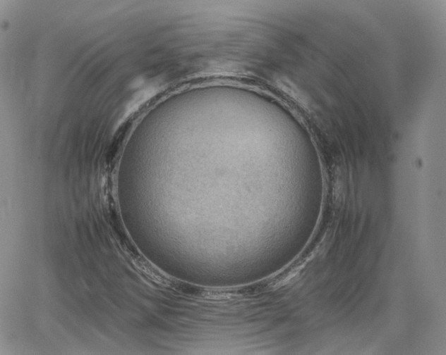 X0000062131258200512091141