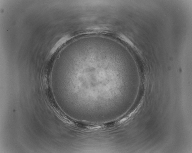 X0000062131259200512091141