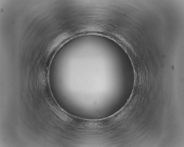 X0000062131266200512091141