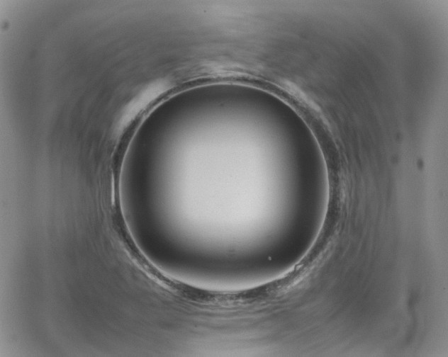 X0000062131269200512091141