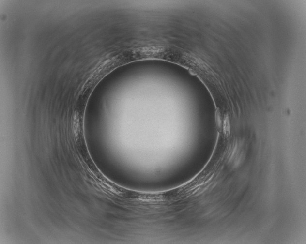 X0000062131299200512091139