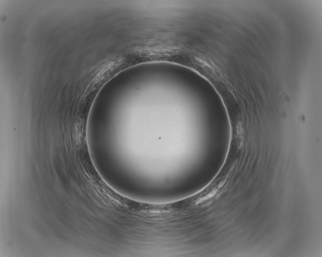 X0000062131300200512091139