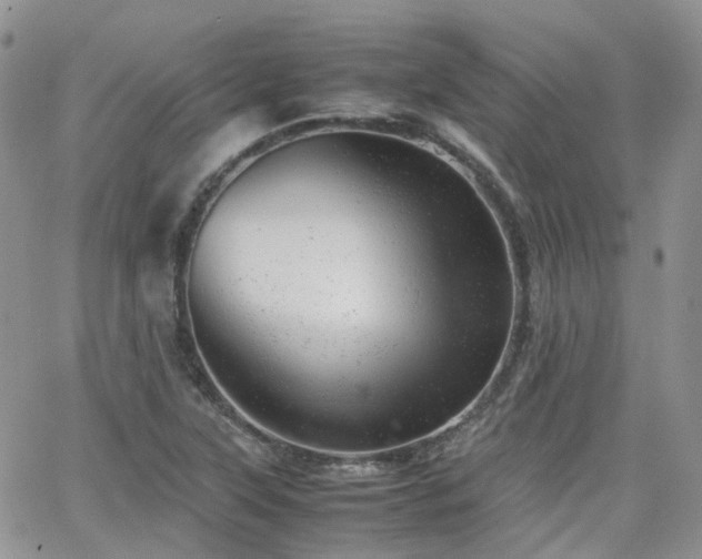 X0000062131315200512091140