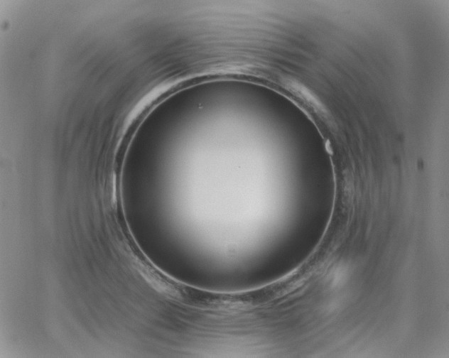 X0000062131324200512091140