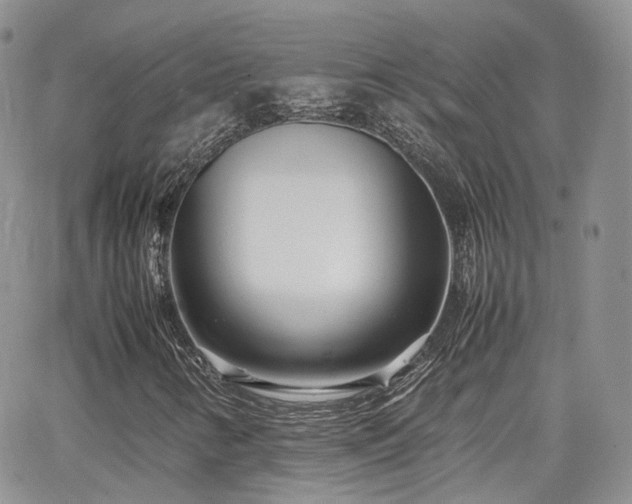 X0000062131346200512091139