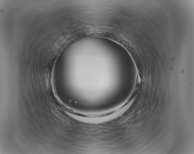 X0000062131348200512091139