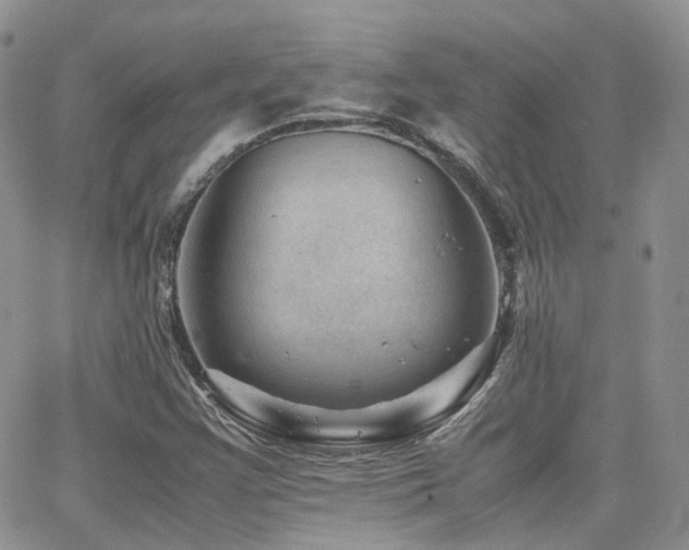 X0000062131355200512091139