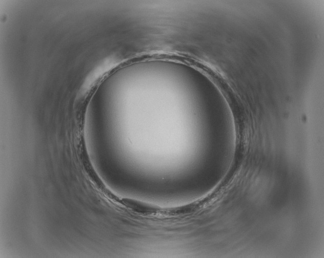 X0000062131359200512091139