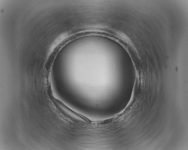X0000062131360200512091139