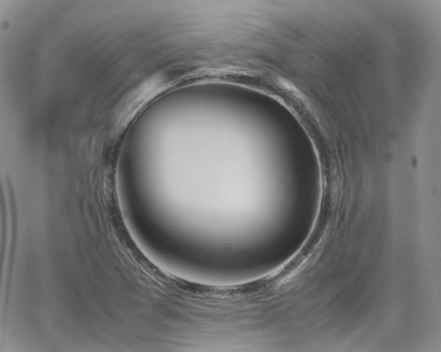 X0000062131361200512091139