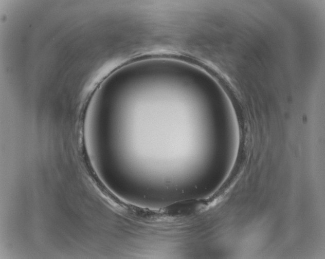 X0000062131367200512091139