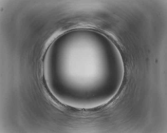 X0000062131371200512091139