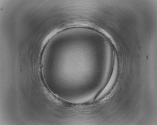 X0000062131373200512091139