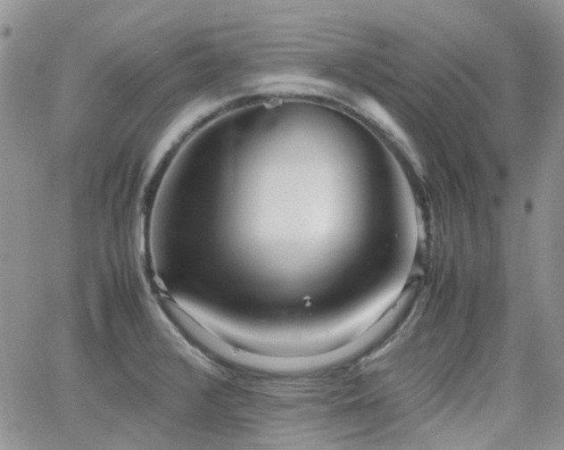 X0000062131376200512091139