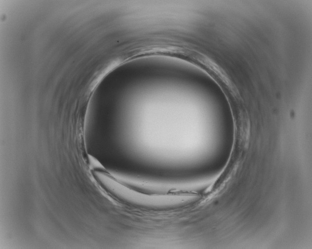 X0000062131377200512091139