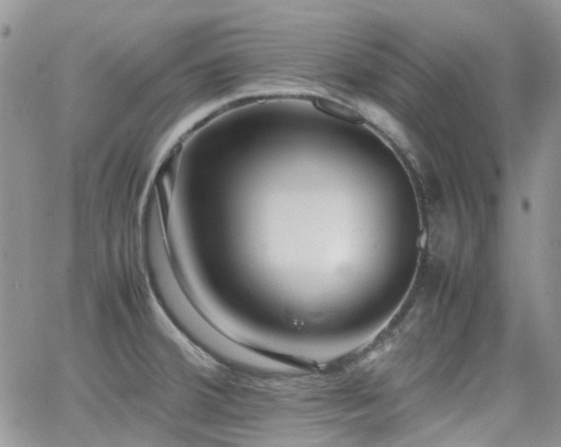 X0000062131380200512091139