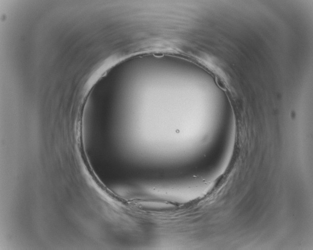 X0000062131383200512091139