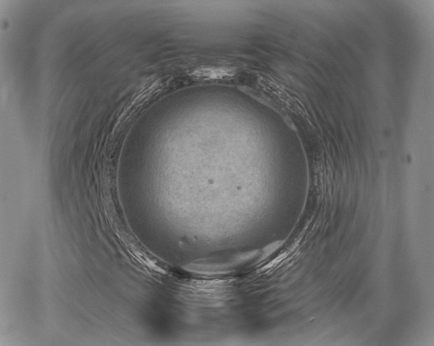 X0000062131393200512091138