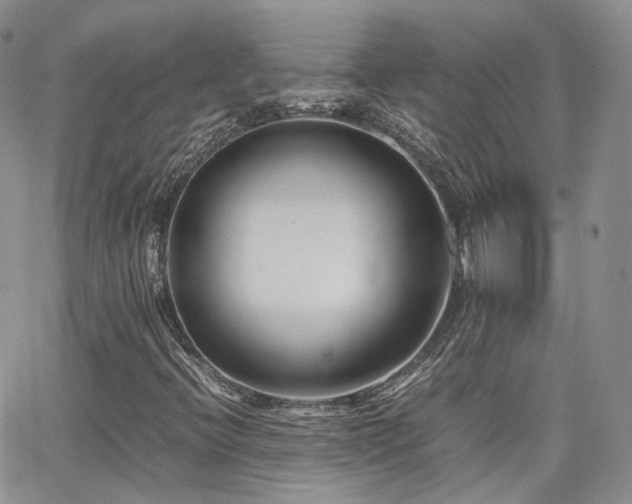 X0000062131396200512091138