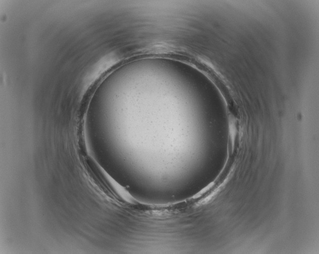X0000062131410200512091138