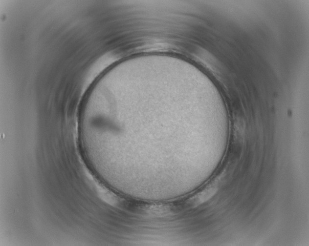 X0000062131418200512091138