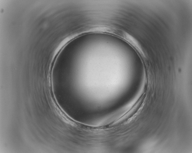 X0000062131436200512091138