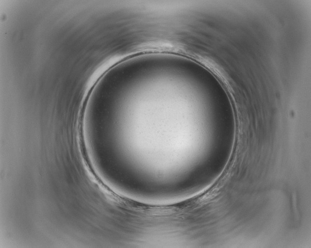X0000062131440200512091139