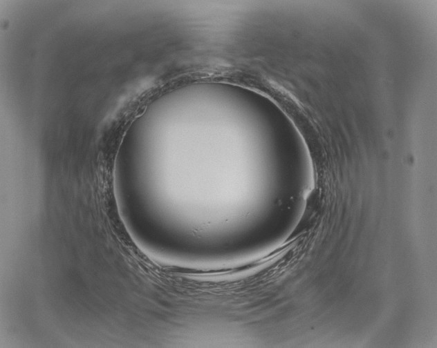X0000062131447200512091138
