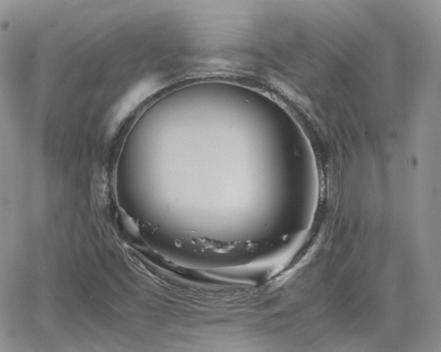 X0000062131453200512091138