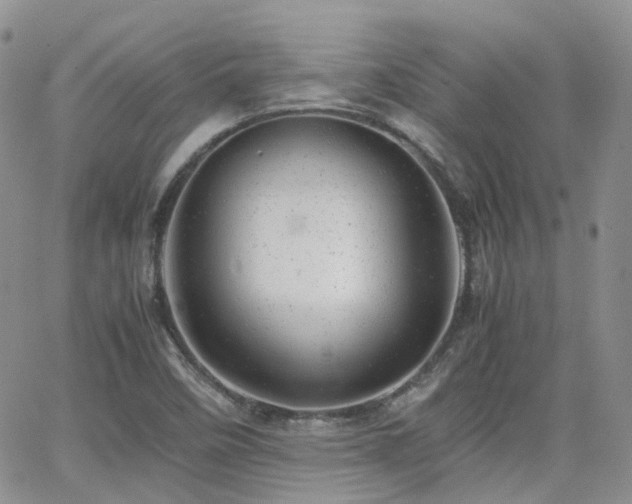 X0000062131458200512091137